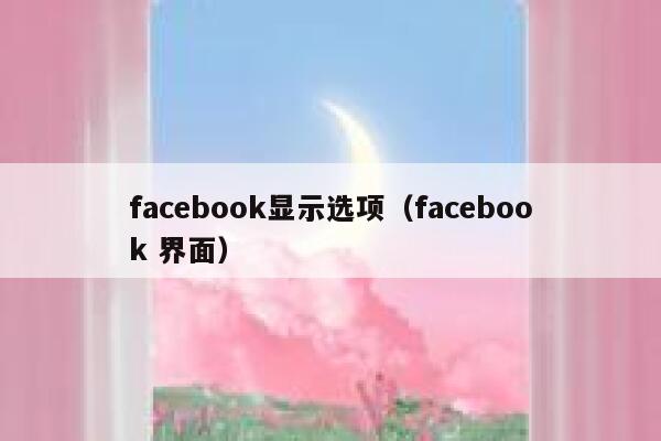 facebook显示选项（facebook 界面） 第1张