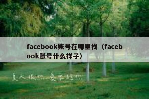 facebook账号在哪里找（facebook账号什么样子） 第1张