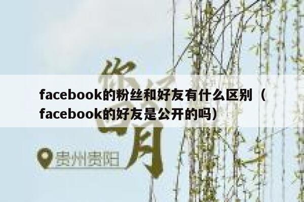 facebook的粉丝和好友有什么区别（facebook的好友是公开的吗） 第1张