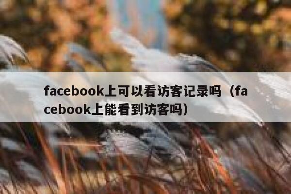 facebook上可以看访客记录吗（facebook上能看到访客吗） 第1张