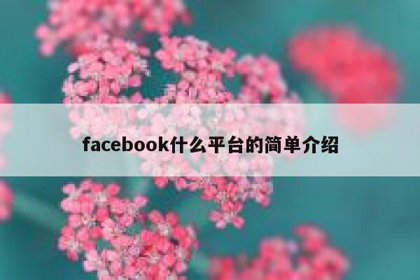 facebook什么平台的简单介绍 第1张