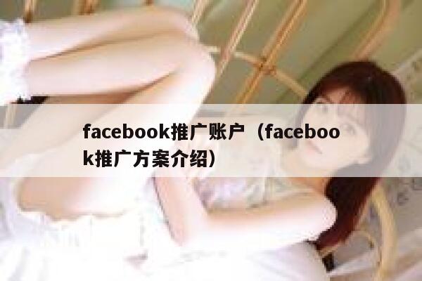 facebook推广账户（facebook推广方案介绍） 第1张