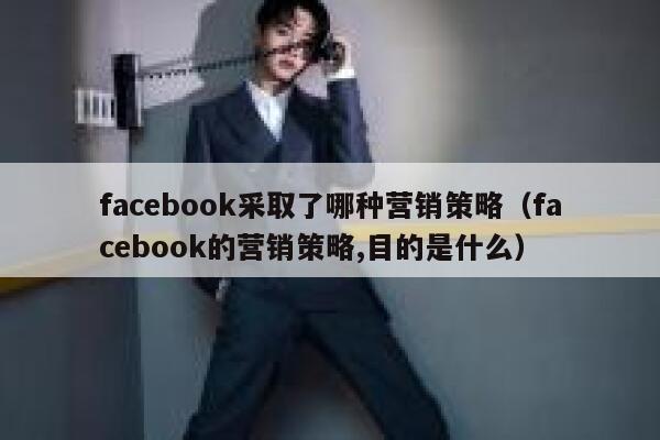 facebook采取了哪种营销策略（facebook的营销策略,目的是什么） 第1张