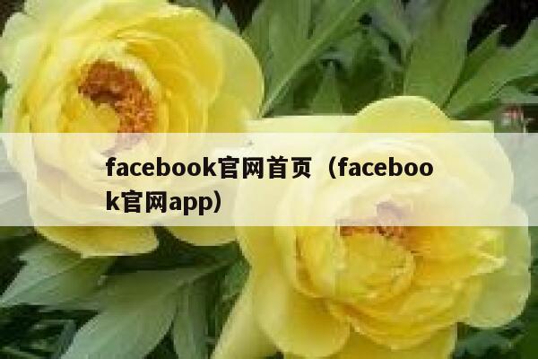 facebook官网首页（facebook官网app） 第1张
