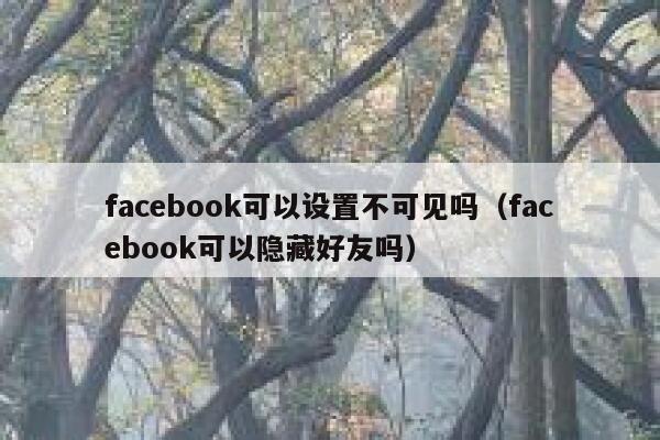 facebook可以设置不可见吗（facebook可以隐藏好友吗） 第1张