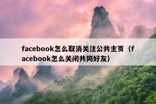 facebook怎么取消关注公共主页（facebook怎么关闭共同好友） 第1张