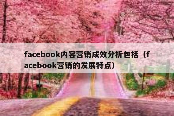 facebook内容营销成效分析包括（facebook营销的发展特点） 第1张