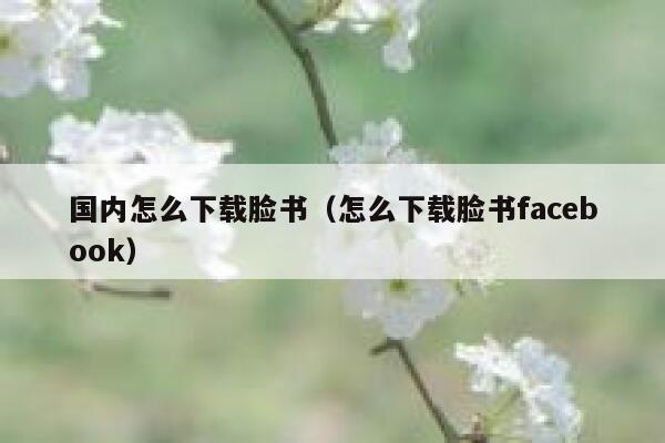 国内怎么下载脸书（怎么下载脸书facebook） 第1张
