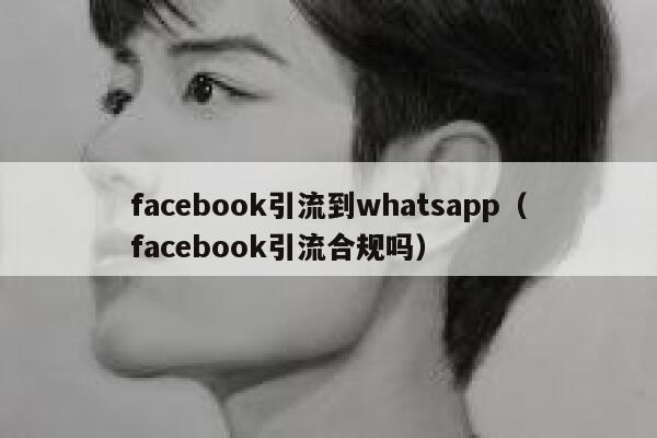 facebook引流到whatsapp（facebook引流合规吗） 第1张