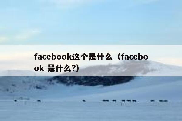 facebook这个是什么（facebook 是什么?） 第1张