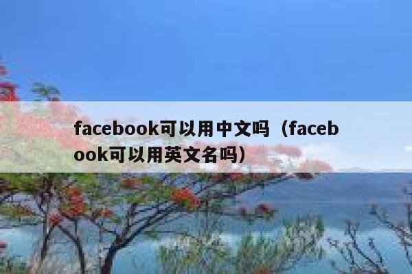 facebook可以用中文吗（facebook可以用英文名吗） 第1张
