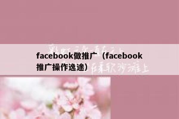 facebook做推广（facebook推广操作逸途） 第1张