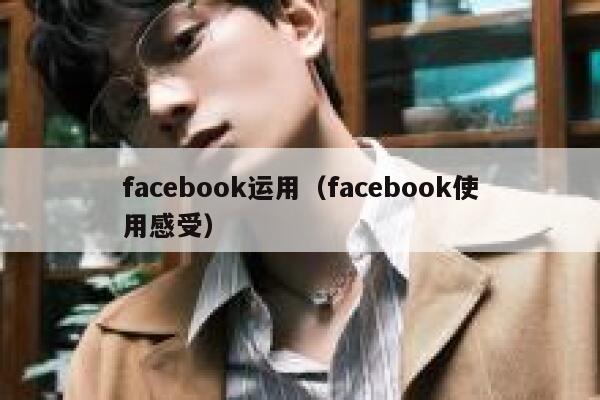 facebook运用（facebook使用感受） 第1张