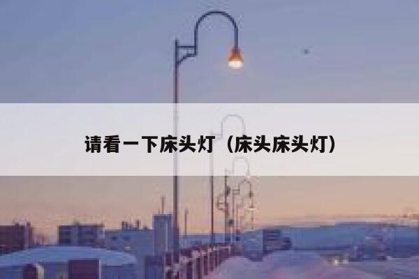 请看一下床头灯（床头床头灯） 第1张