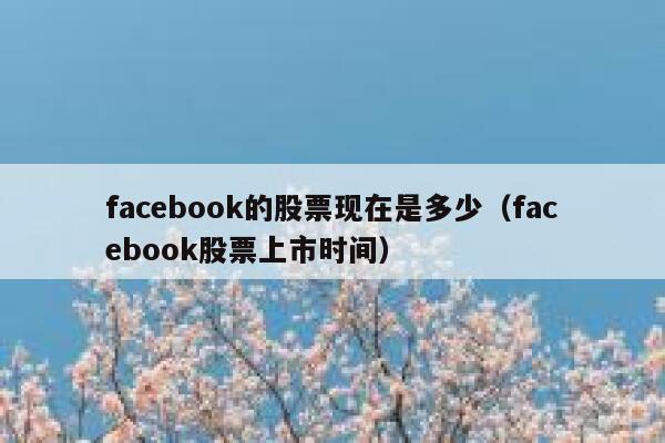 facebook的股票现在是多少（facebook股票上市时间） 第1张