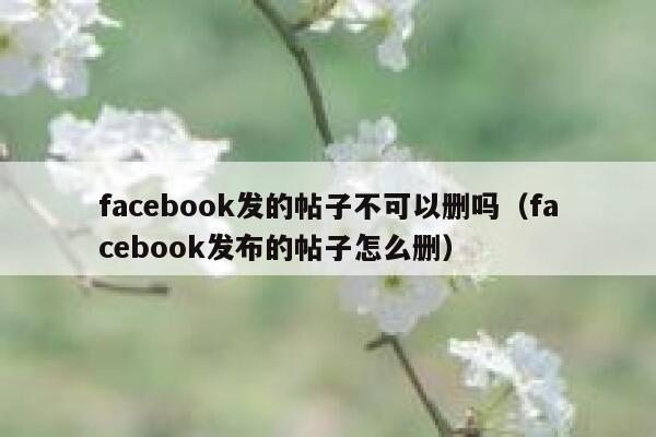 facebook发的帖子不可以删吗（facebook发布的帖子怎么删） 第1张