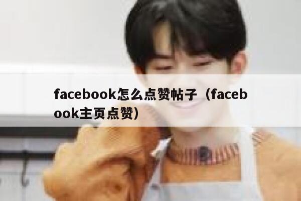 facebook怎么点赞帖子（facebook主页点赞） 第1张