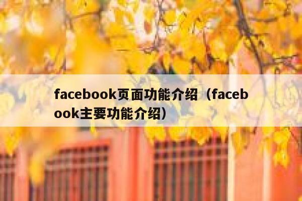 facebook页面功能介绍（facebook主要功能介绍） 第1张