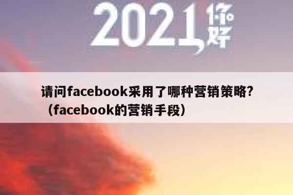 请问facebook采用了哪种营销策略?（facebook的营销手段） 第1张