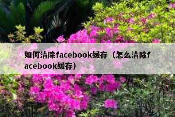 如何清除facebook缓存（怎么清除facebook缓存） 第1张