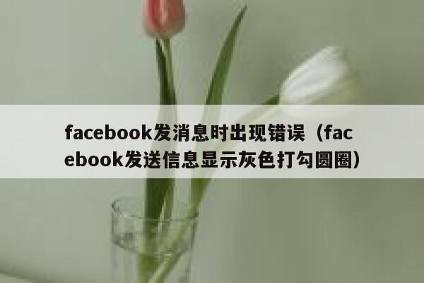 facebook发消息时出现错误（facebook发送信息显示灰色打勾圆圈） 第1张