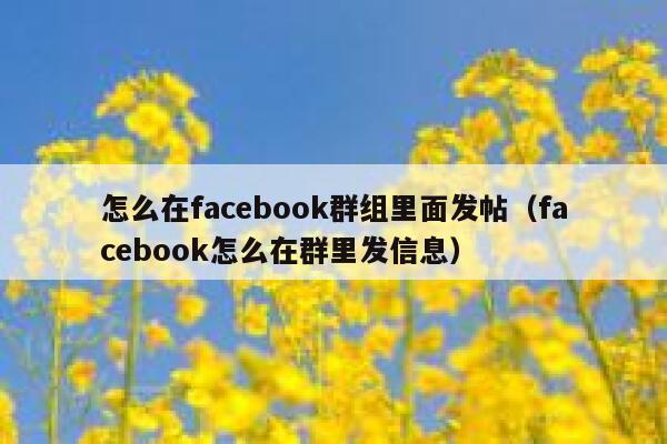 怎么在facebook群组里面发帖（facebook怎么在群里发信息） 第1张