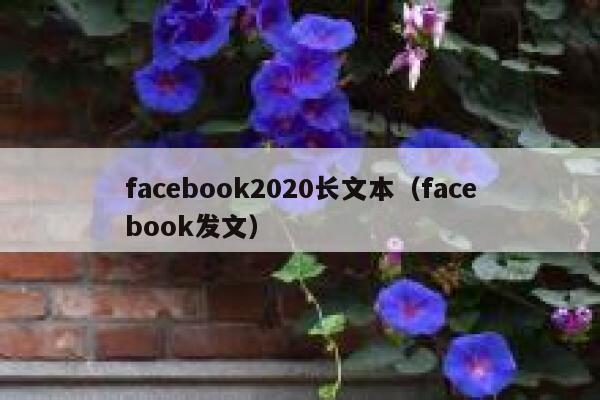 facebook2020长文本（facebook发文） 第1张