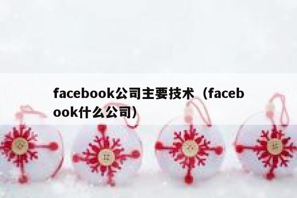 facebook公司主要技术（facebook什么公司） 第1张