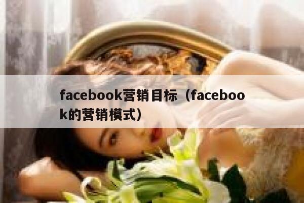 facebook营销目标（facebook的营销模式） 第1张
