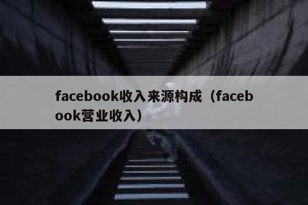 facebook收入来源构成（facebook营业收入） 第1张