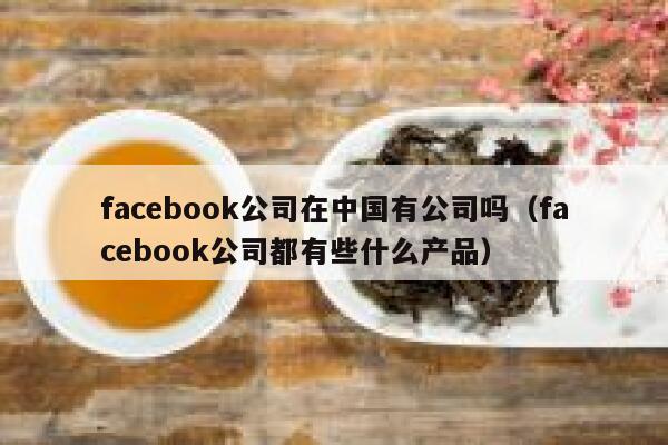 facebook公司在中国有公司吗（facebook公司都有些什么产品） 第1张