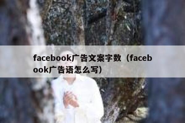 facebook广告文案字数（facebook广告语怎么写） 第1张