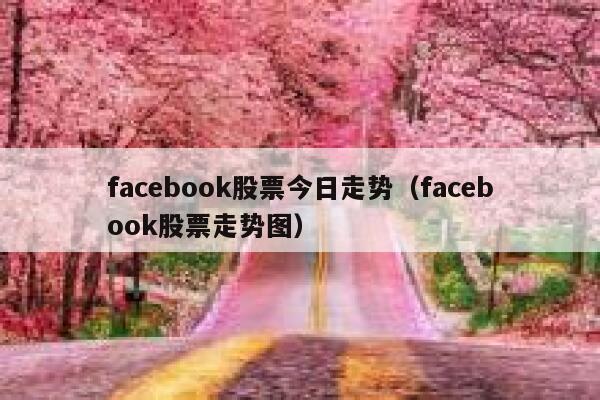 facebook股票今日走势（facebook股票走势图） 第1张