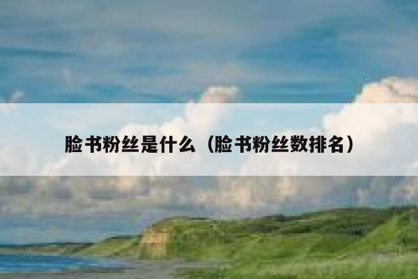 脸书粉丝是什么（脸书粉丝数排名） 第1张