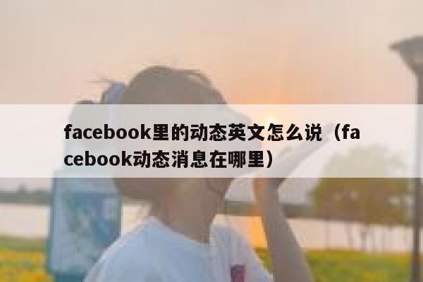facebook里的动态英文怎么说（facebook动态消息在哪里） 第1张
