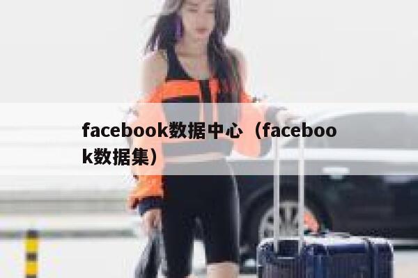 facebook数据中心（facebook数据集） 第1张