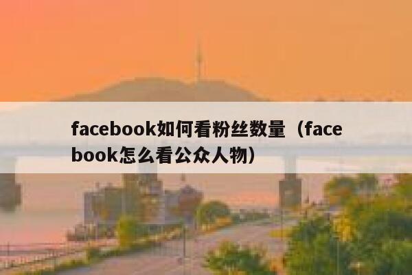 facebook如何看粉丝数量（facebook怎么看公众人物） 第1张