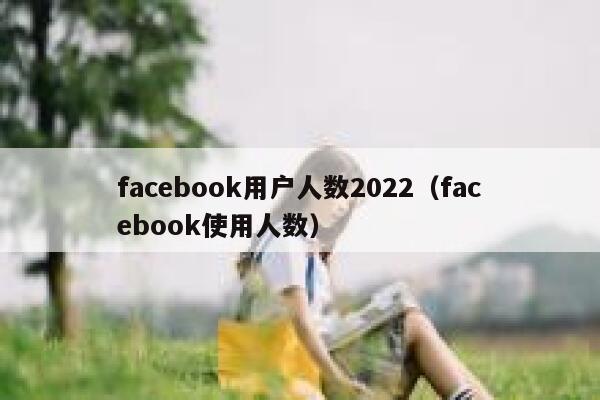 facebook用户人数2022（facebook使用人数） 第1张