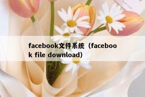 facebook文件系统（facebook file download） 第1张