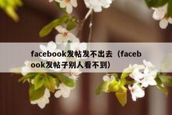 facebook发帖发不出去（facebook发帖子别人看不到） 第1张