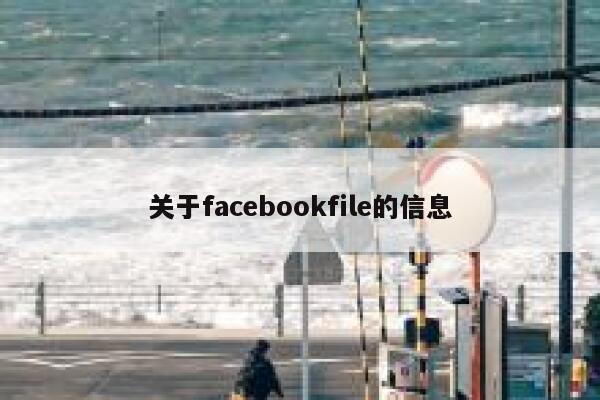 关于facebookfile的信息 第1张