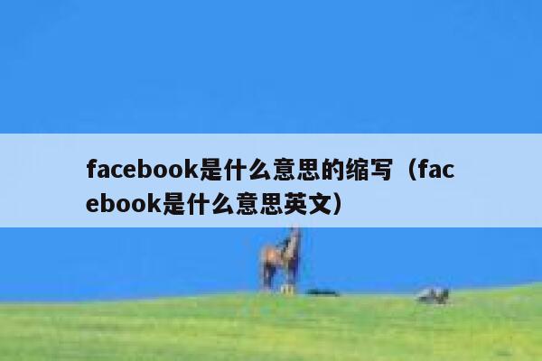 facebook是什么意思的缩写（facebook是什么意思英文） 第1张