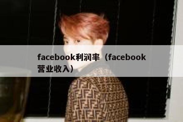 facebook利润率（facebook营业收入） 第1张