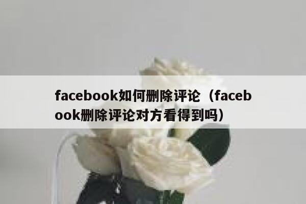 facebook如何删除评论（facebook删除评论对方看得到吗） 第1张
