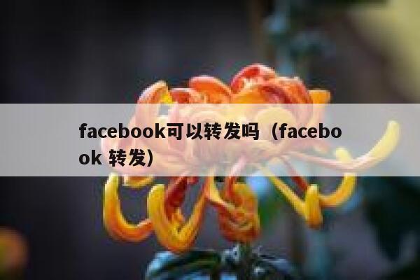 facebook可以转发吗（facebook 转发） 第1张
