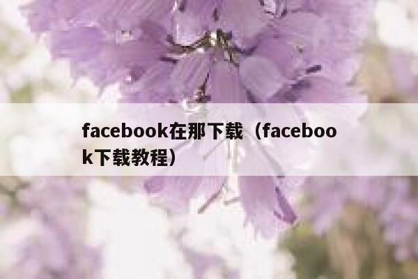 facebook在那下载（facebook下载教程） 第1张