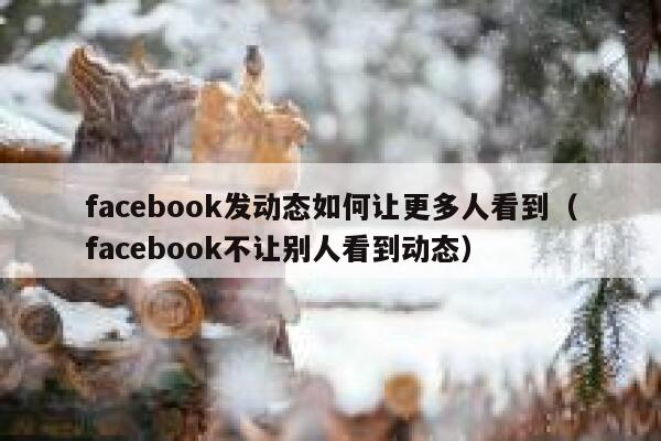 facebook发动态如何让更多人看到（facebook不让别人看到动态） 第1张