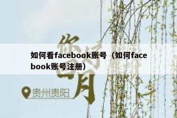 如何看facebook账号（如何facebook账号注册） 第1张