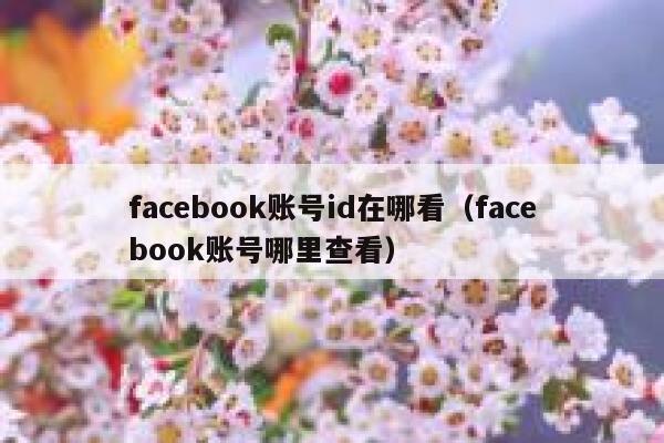 facebook账号id在哪看（facebook账号哪里查看） 第1张