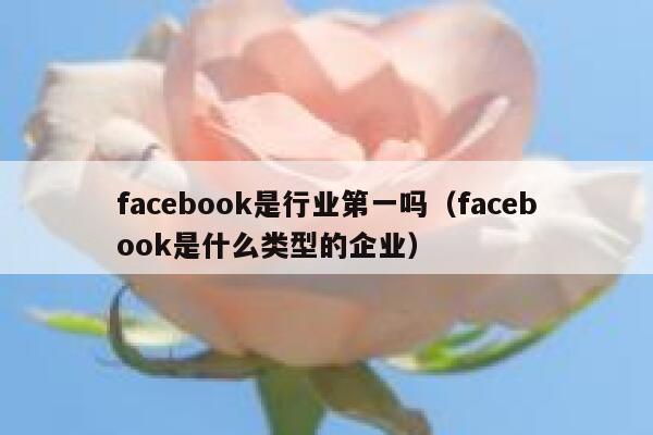 facebook是行业第一吗（facebook是什么类型的企业） 第1张